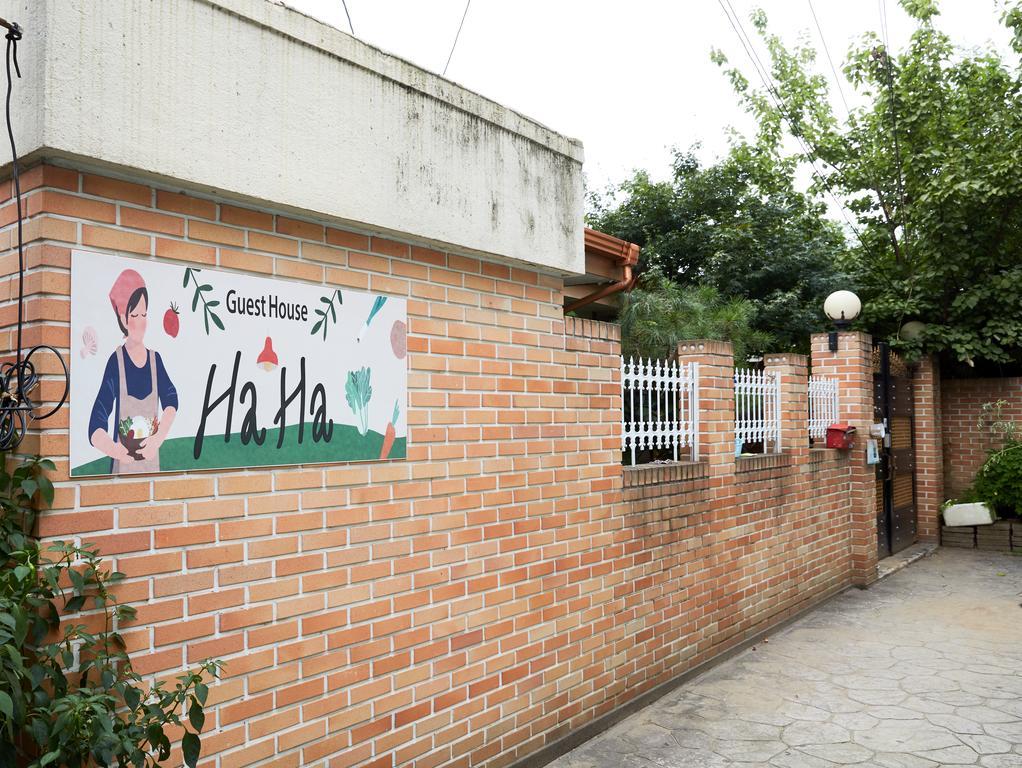 Guest house Haha Guesthouse Itaewon Seoul