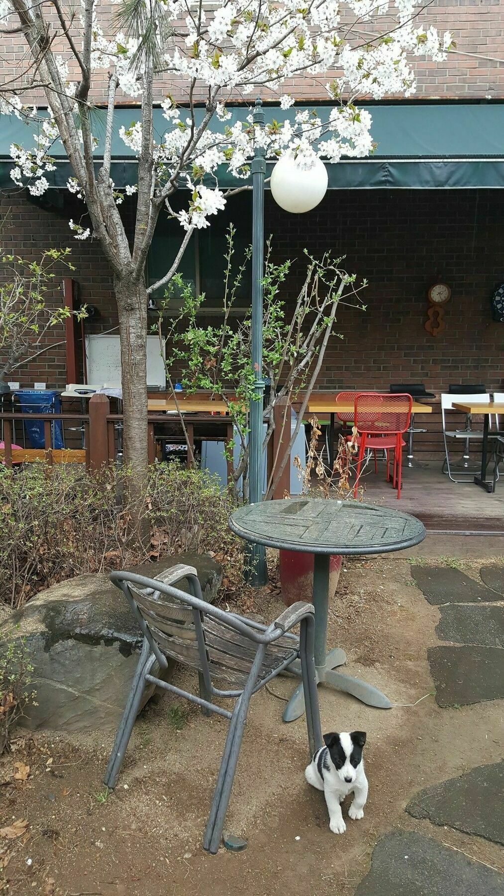 Haha Guesthouse Itaewon Guest house